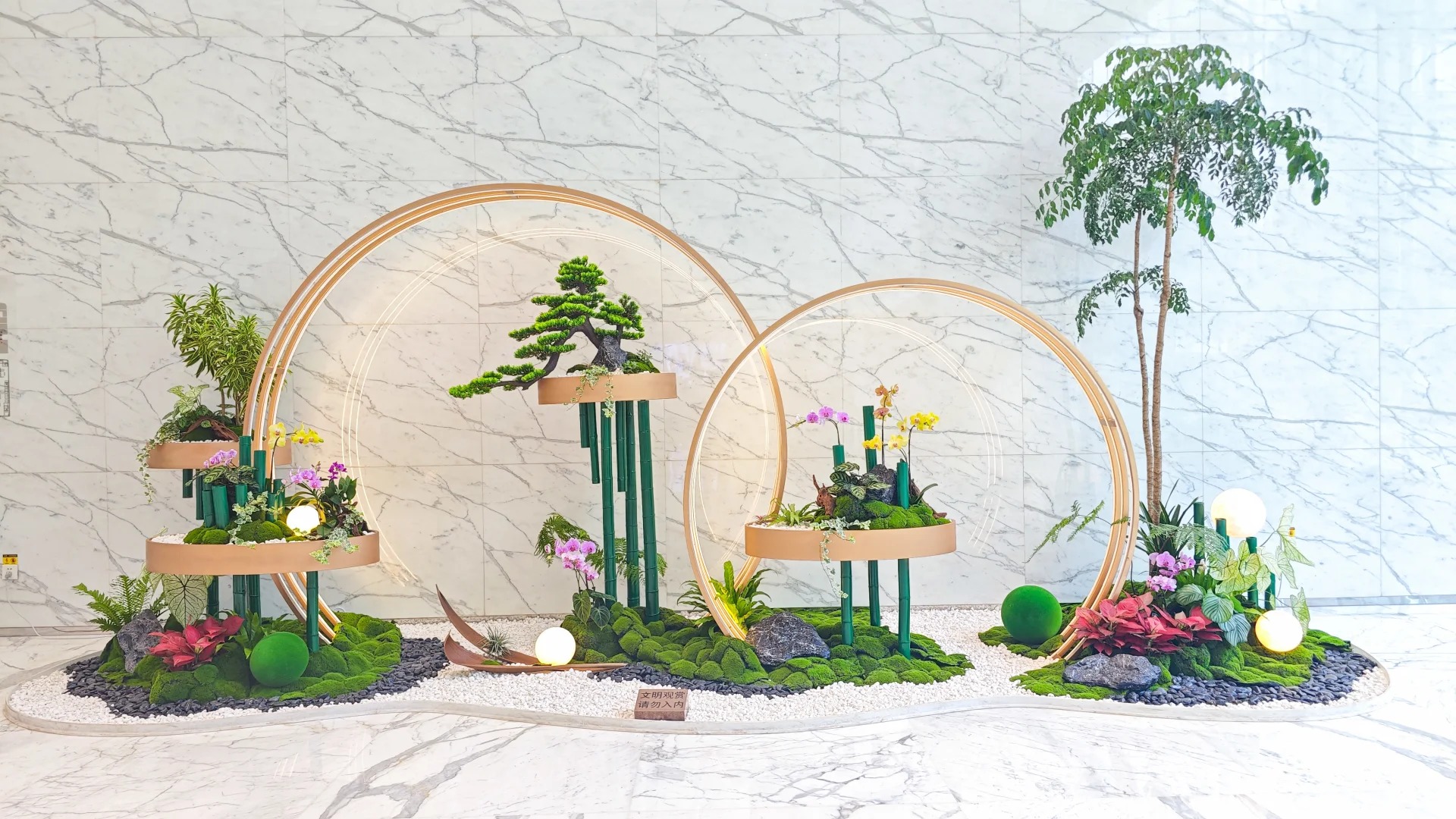 了解杭州湾盆景租摆公司，解锁绿植美化新方式